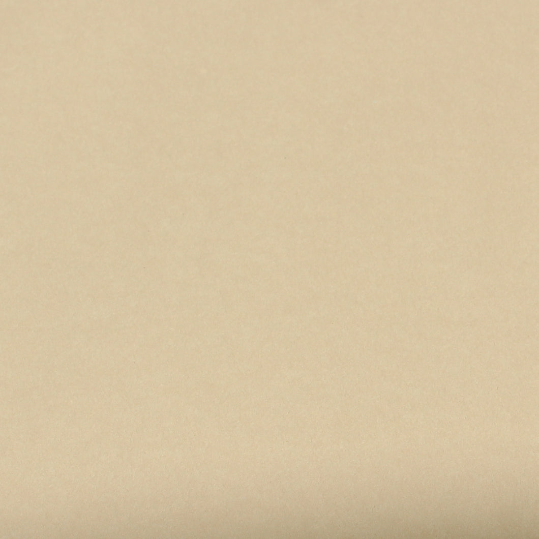 Tan Brown - Smooth Plain Cardstock - 12